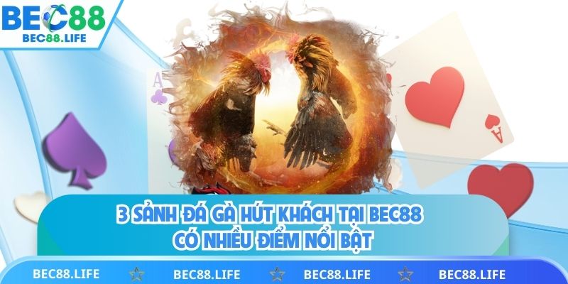 3 sảnh đá gà hút khách tại BEC88 có nhiều điểm nổi bật