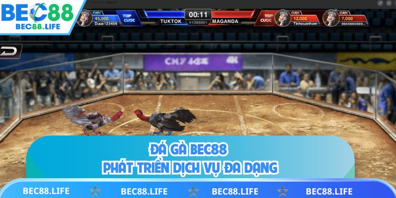 Đá gà BEC88 phát triển dịch vụ đa dạng