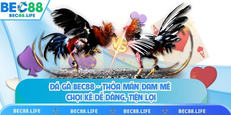 Đá Gà BEC88 - Thỏa Mãn Đam Mê Chọi Kê Dễ Dàng, Tiện Lợi 