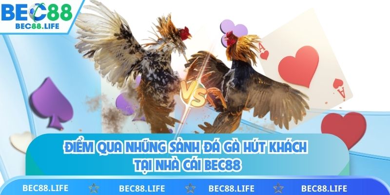 Những sảnh đá gà hút khách nhất chỉ có tại bec88