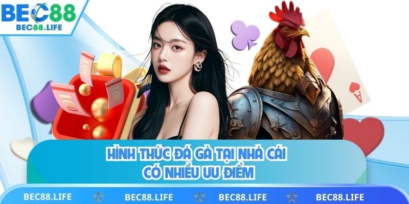 Hình thức đá gà tại nhà cái có nhiều ưu điểm