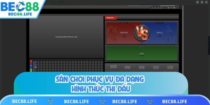 Sân chơi phục vụ đa dạng hình thức thi đấu